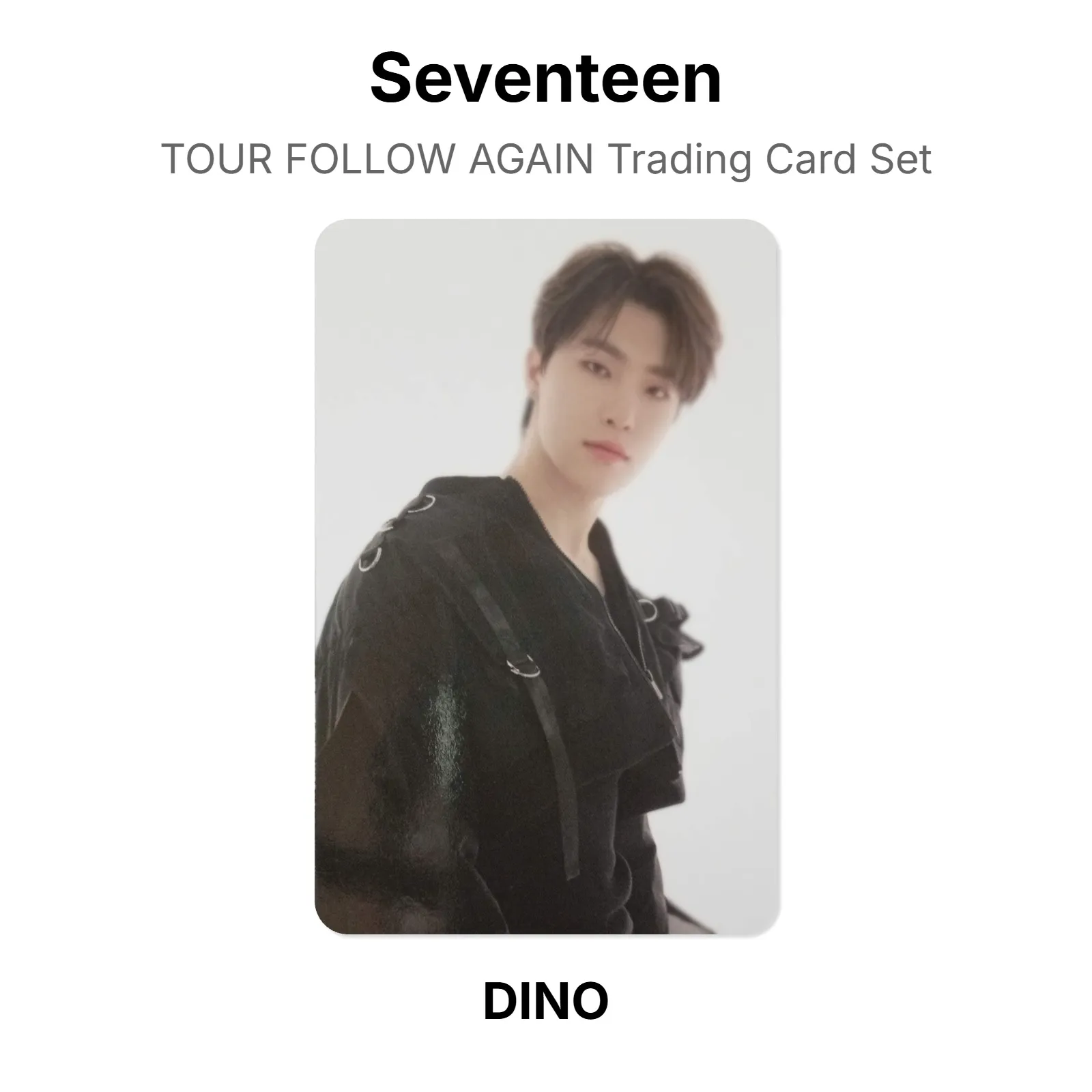 Seventeen TOUR FOLLOW AGAIN Trading Card Set Official KPOP Special Gift