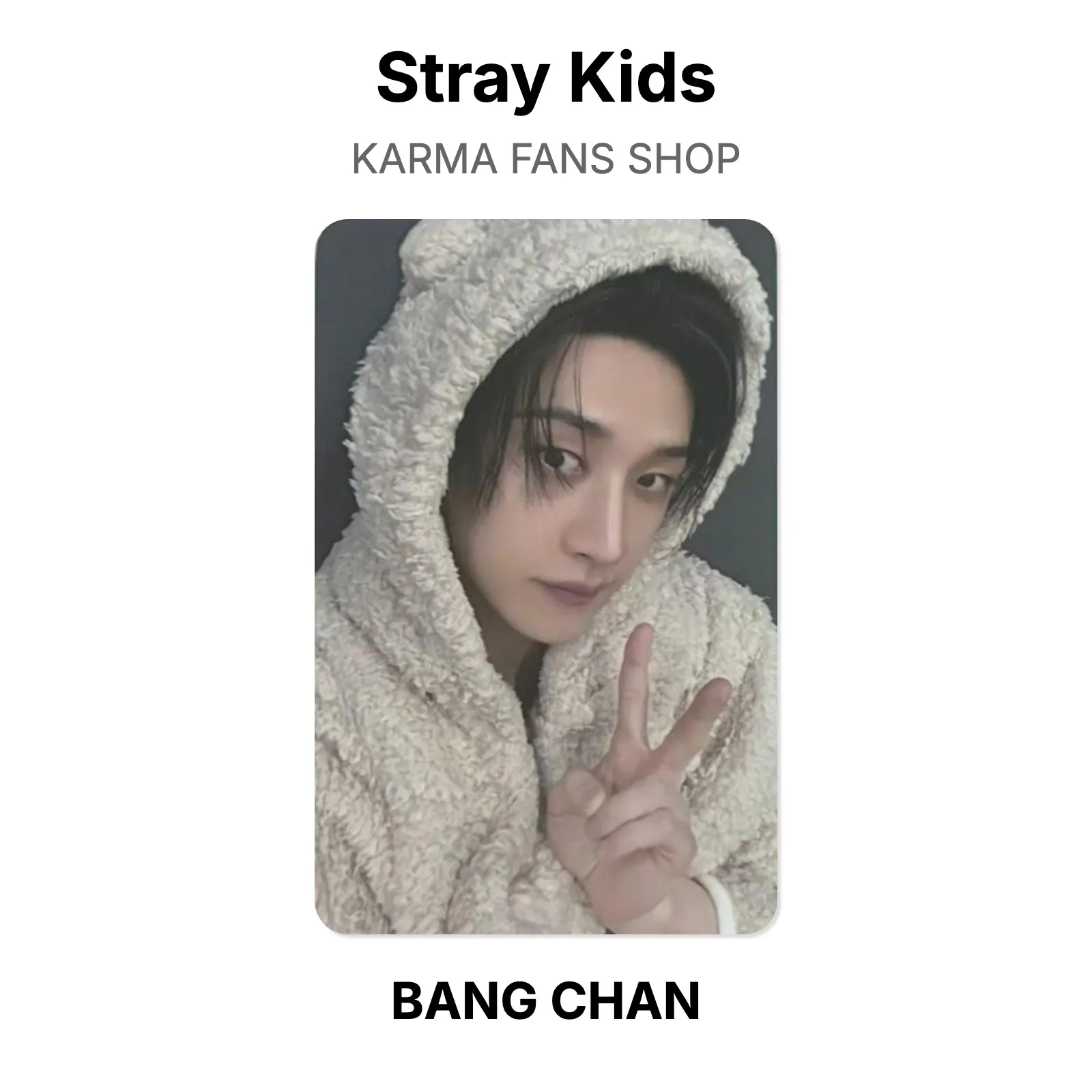 Stray Kids KARMA FANS SHOP Official Photocard KPOP Special Gift