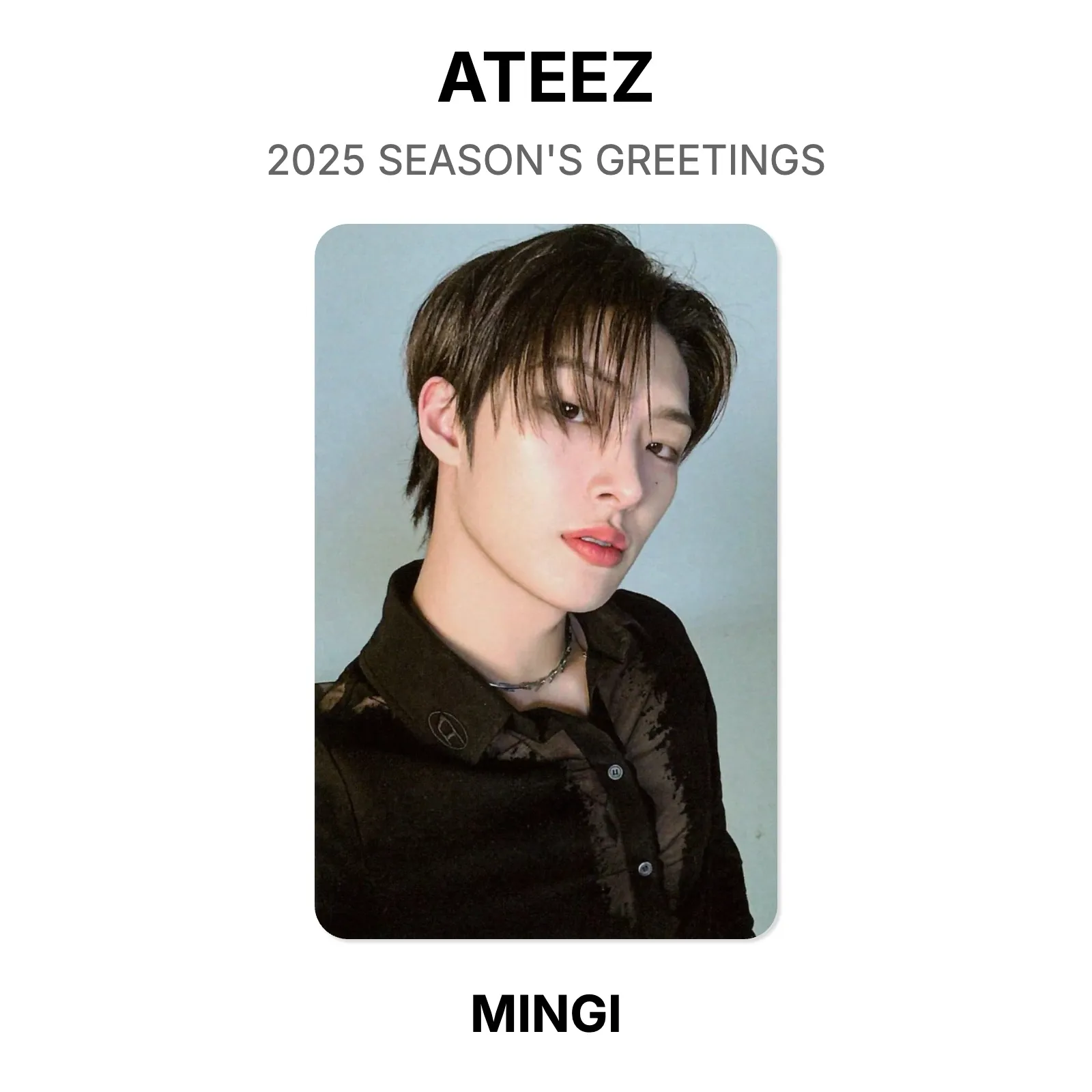 ATEEZ 2025 SEASON'S GREETINGS Official Photocard KPOP Special Gift