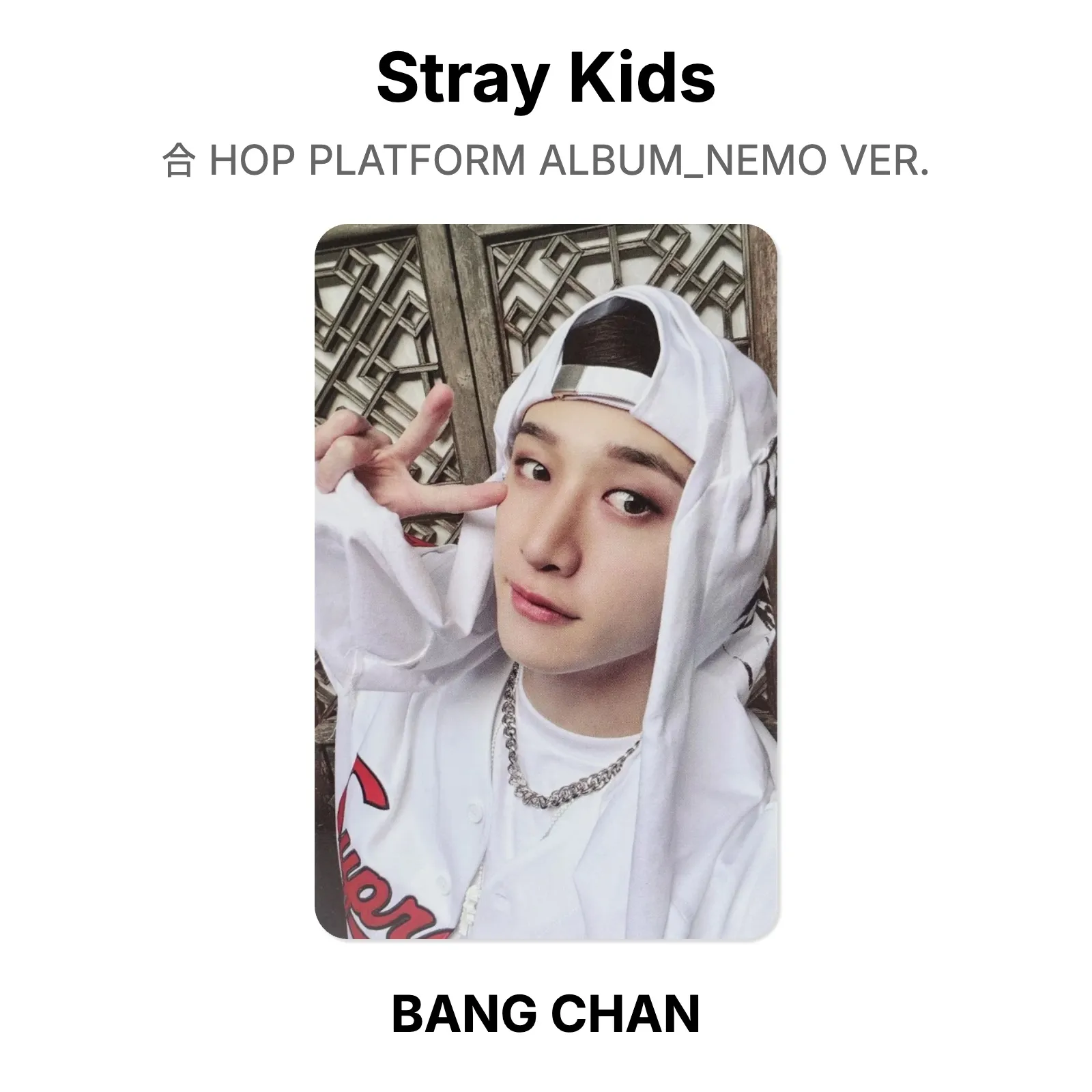 Stray Kids 合 HOP PLATFORM ALBUM_NEMO VER. Official Photocard KPOP Special Gift