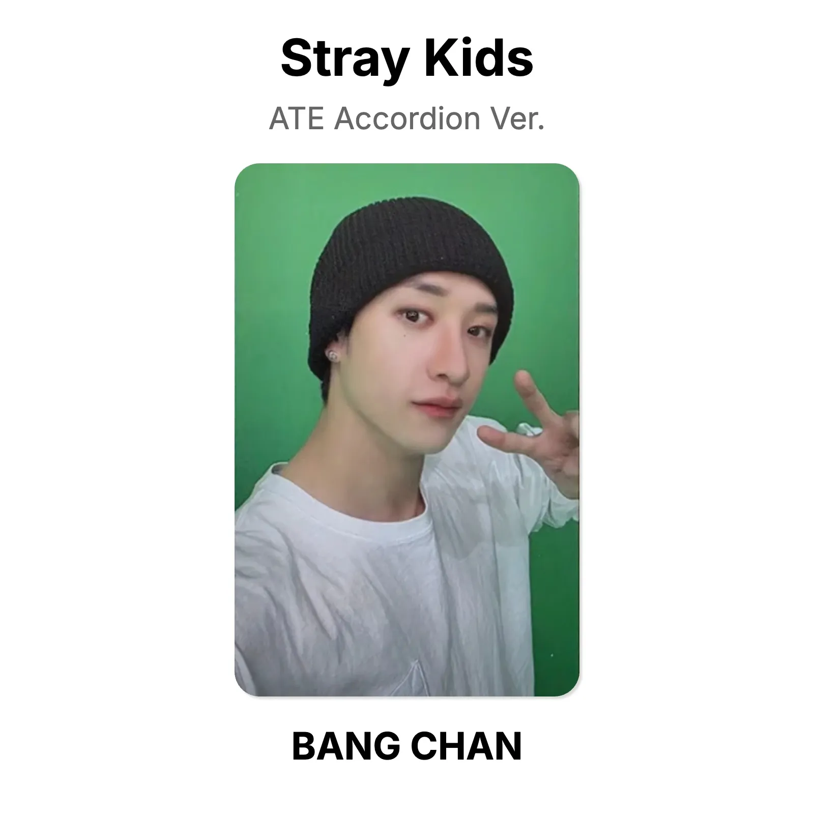 Stray Kids ATE Accordion Ver. Official Photocard KPOP Special Gift