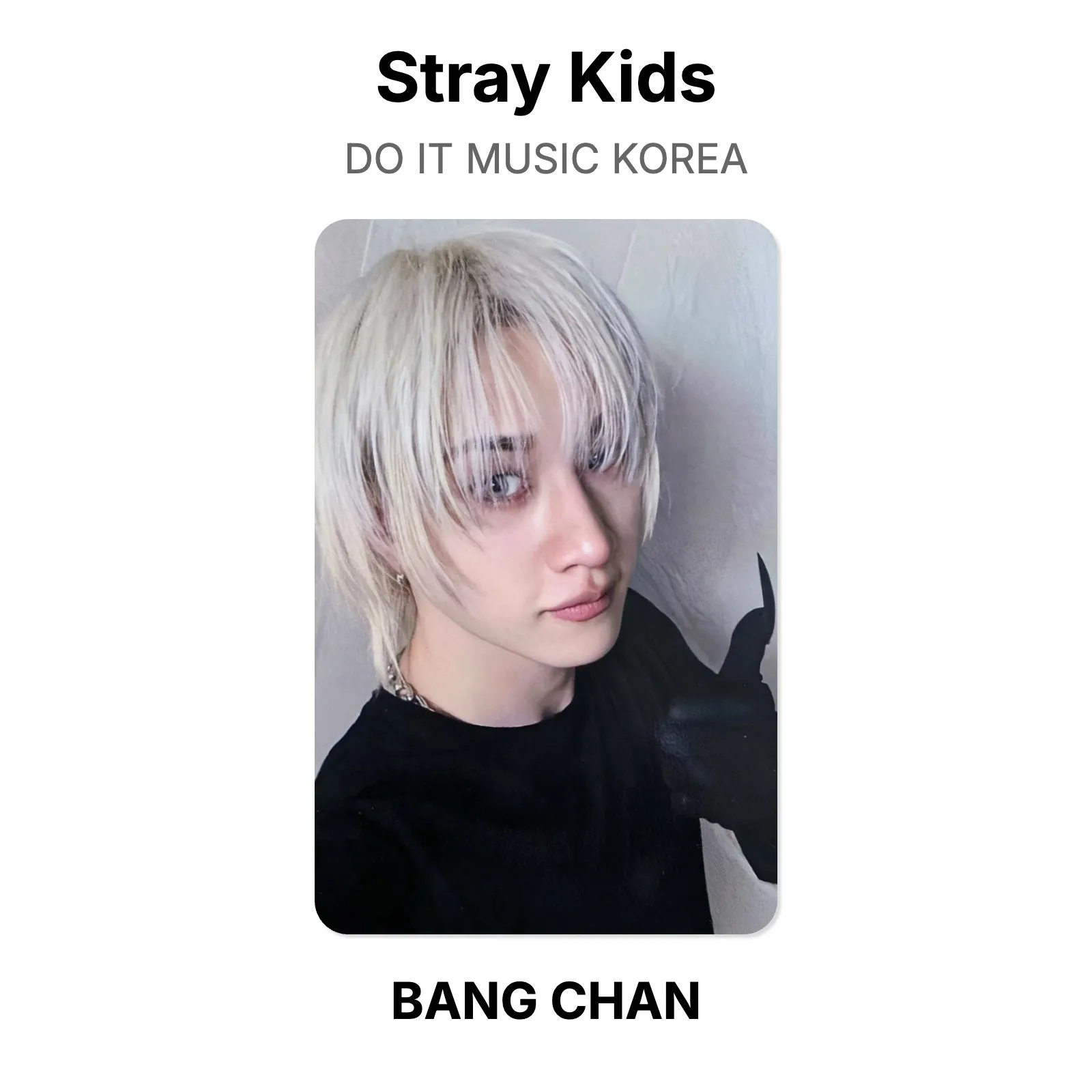 Stray Kids DO IT MUSIC KOREA Official Photocard KPOP Special Gift