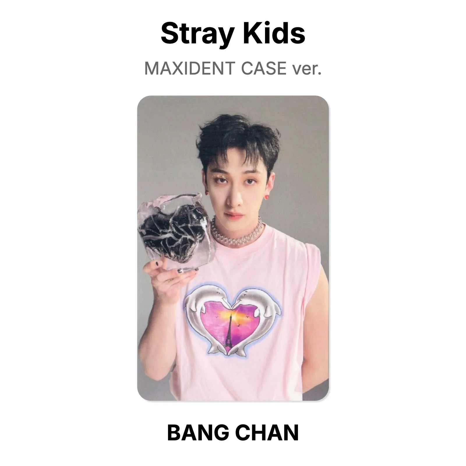 Stray Kids MAXIDENT CASE ver. Official Photocard KPOP Special Gift