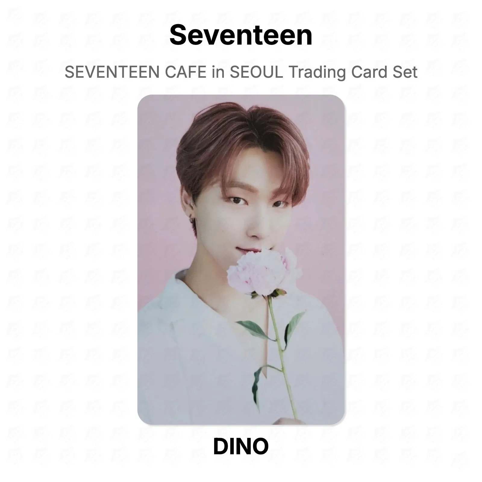 Seventeen CAFE in SEOUL Trading Card Set Official Photocard KPOP Special Gift
