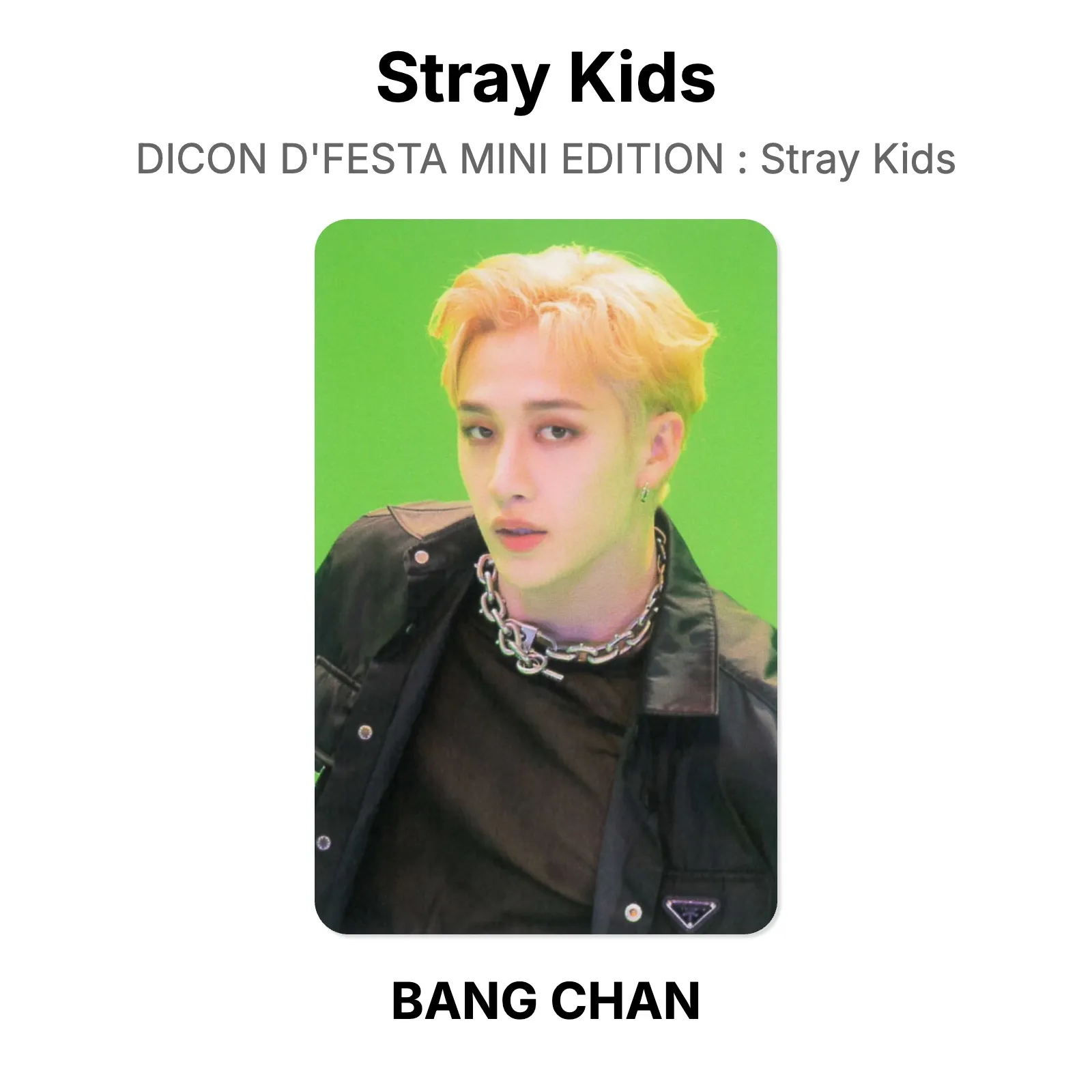 Stray Kids DICON D’FESTA MINI EDITION : Stray Kids Official KPOP Special Gift
