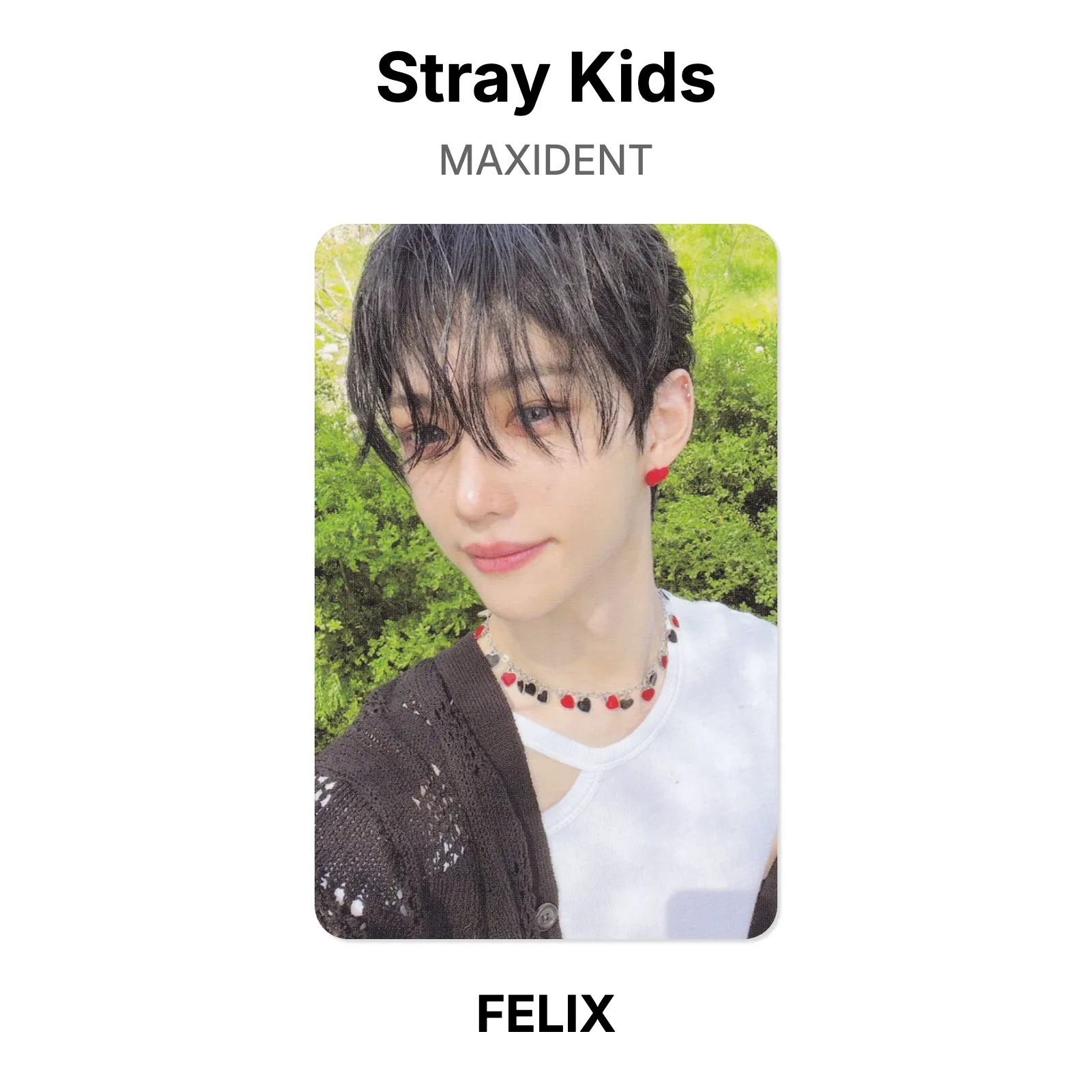 Stray Kids MAXIDENT Official Photocard KPOP Special Gift | eBay
