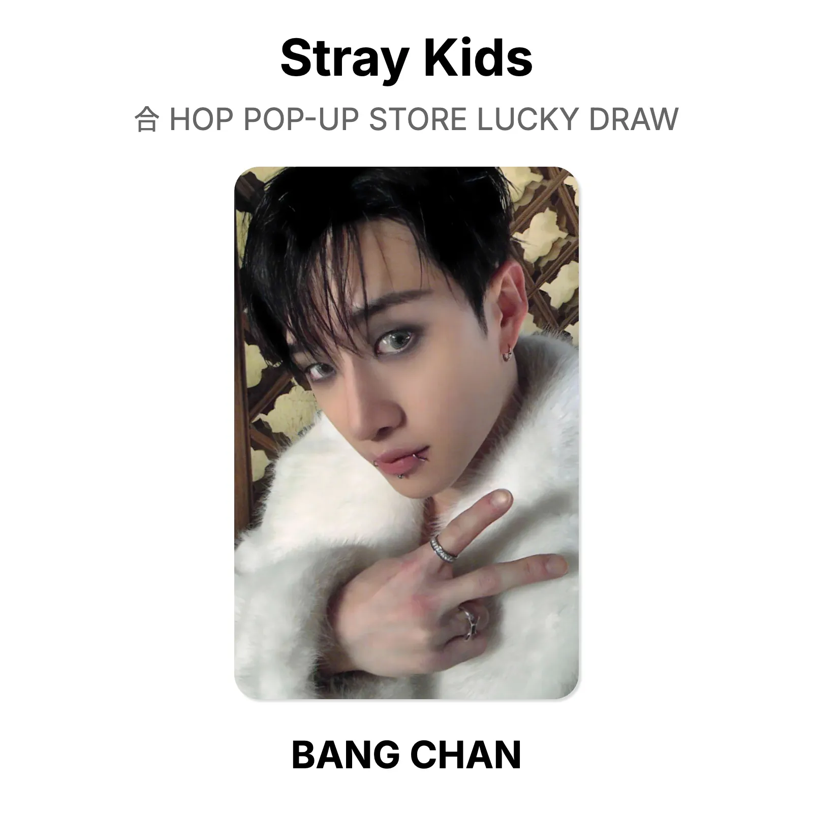 Stray Kids 合 HOP POP-UP STORE LUCKY DRAW Official Photocard KPOP Special Gift