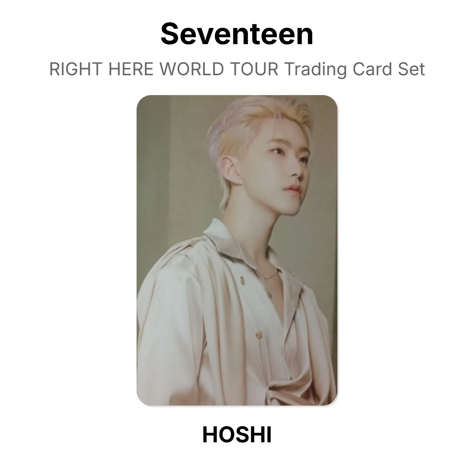 Seventeen RIGHT HERE WORLD TOUR Trading Card Set Official KPOP Special Gift