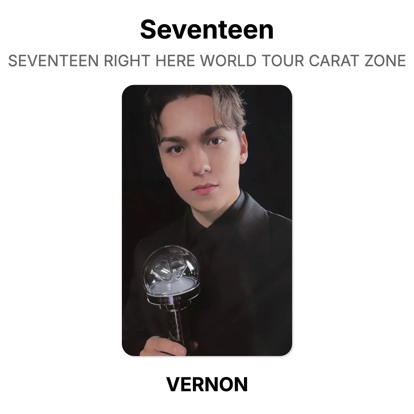 Seventeen SEVENTEEN RIGHT HERE WORLD TOUR CARAT ZONE Official KPOP
