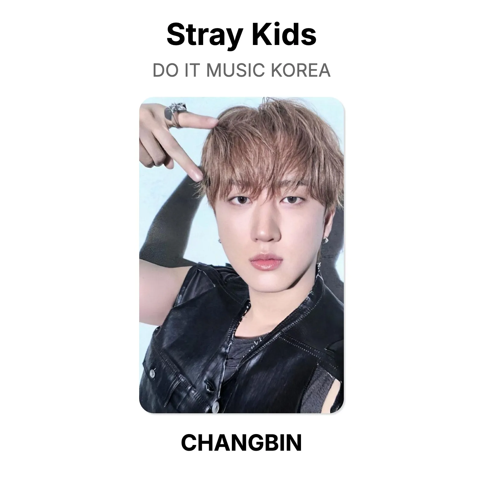Stray Kids DO IT MUSIC KOREA Official Photocard KPOP Special Gift