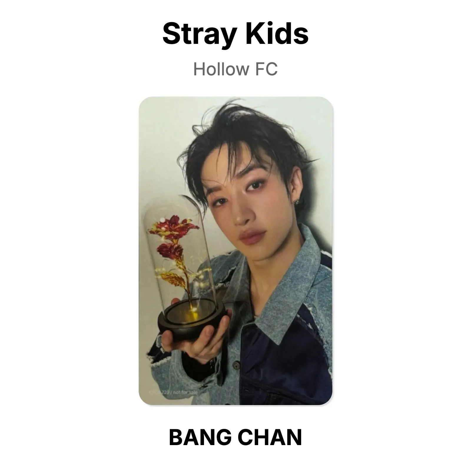 Stray Kids Hollow FC Official Photocard KPOP Special Gift