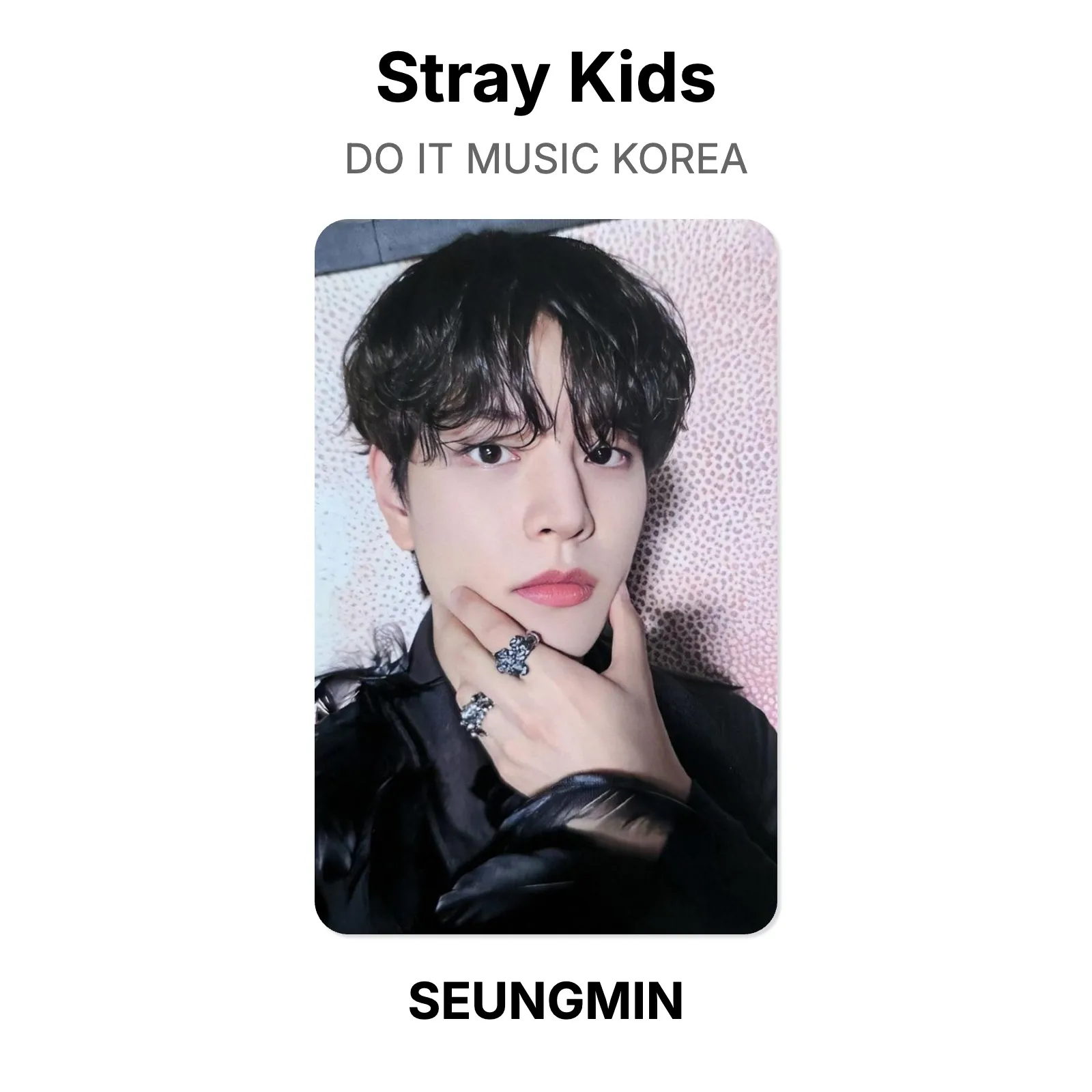 Stray Kids DO IT Music Korea 予約特典 トレカ Stray Kids DO IT MUSIC KOREA Official Photocard KPOP Special Gift