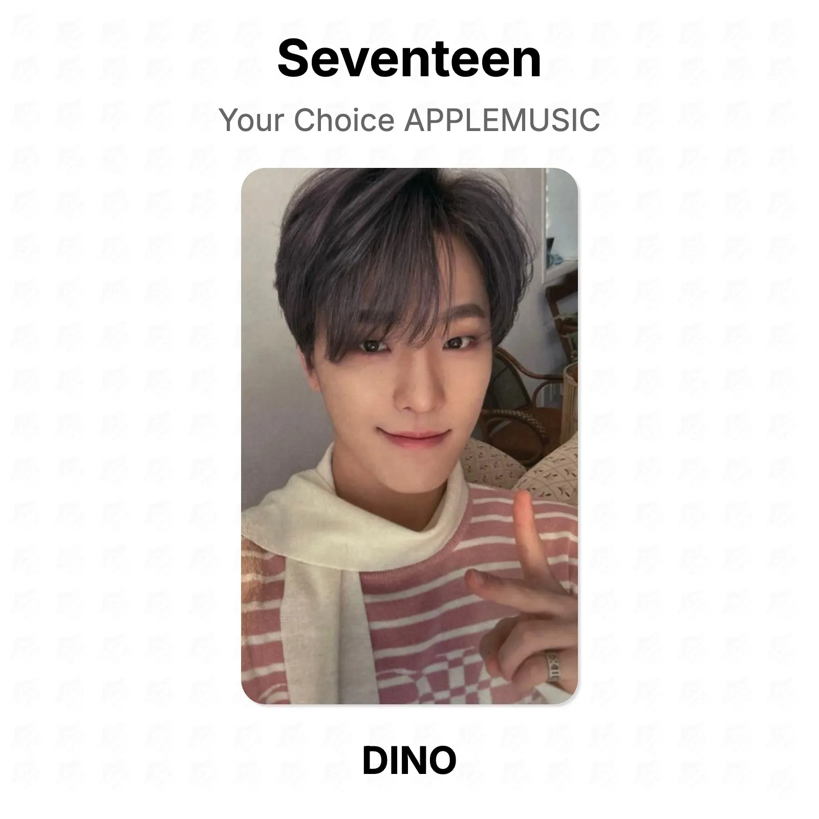 Seventeen Your Choice APPLEMUSIC Official Photocard KPOP Special Gift