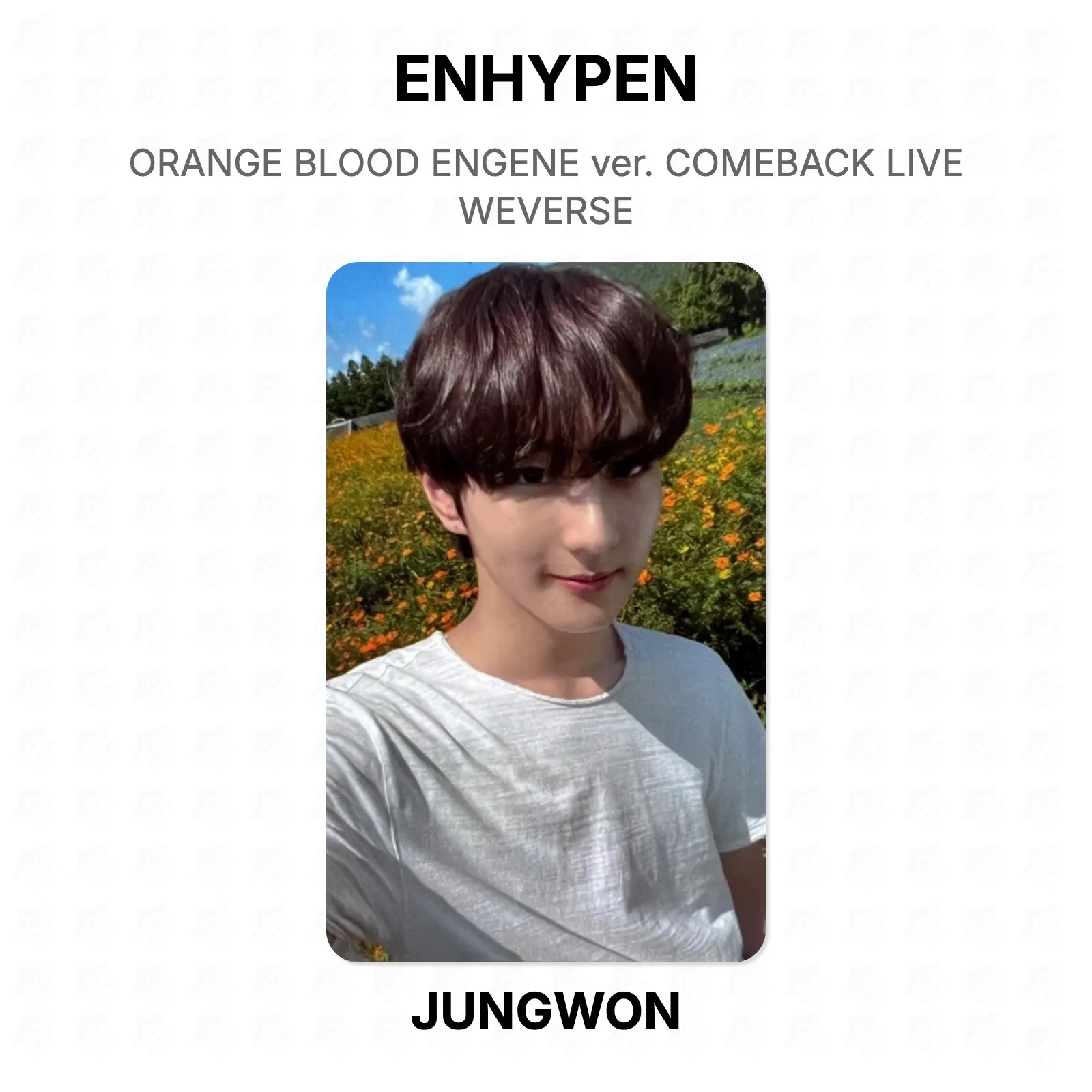 ENHYPEN ORANGE BLOOD ENGENE ver. COMEBACK LIVE WEVERSE KPOP Special Gift