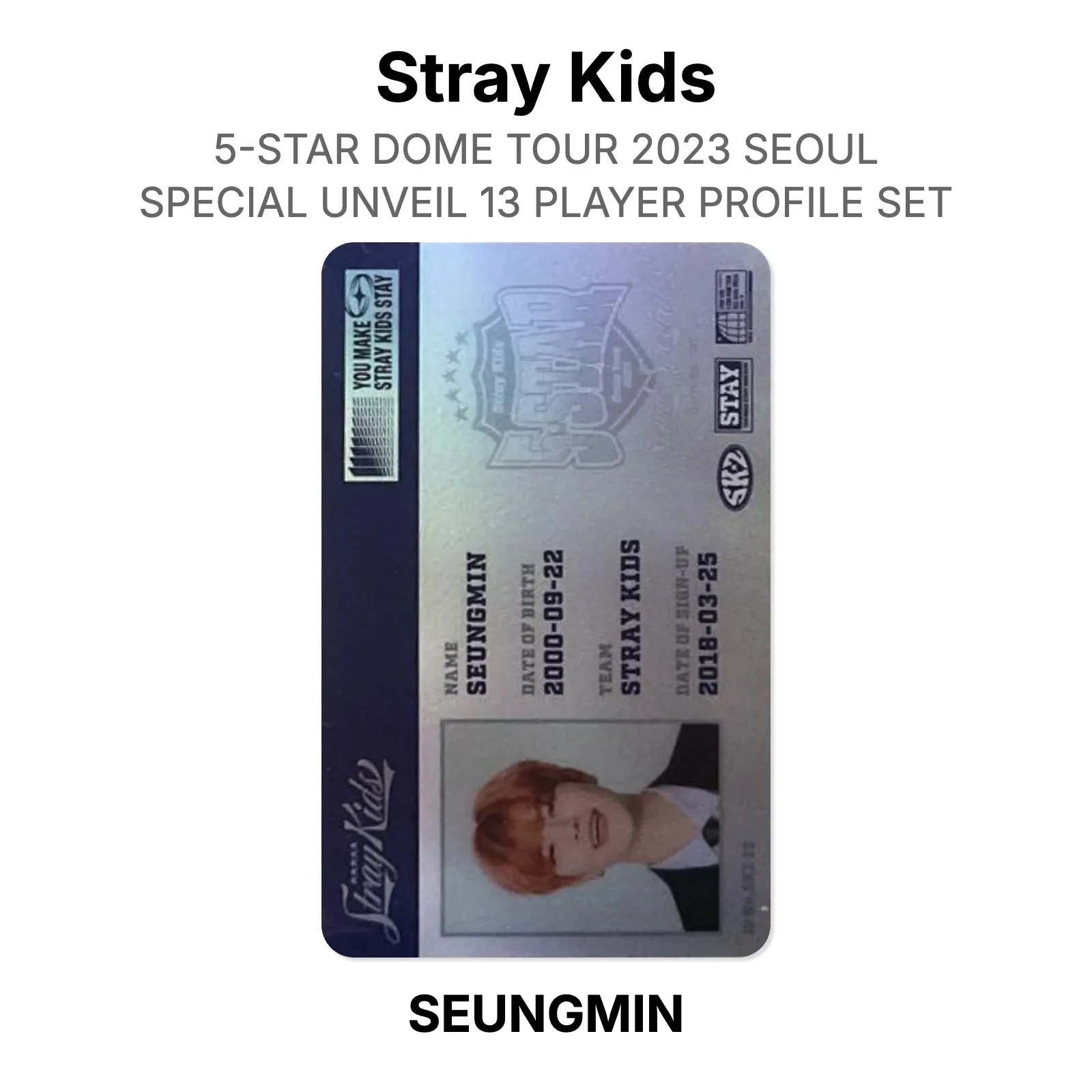 Stray Kids 5-STAR DOME TOUR 2023 SEOUL SPECIAL UNVEIL 13 PLAYER PROFILE SET