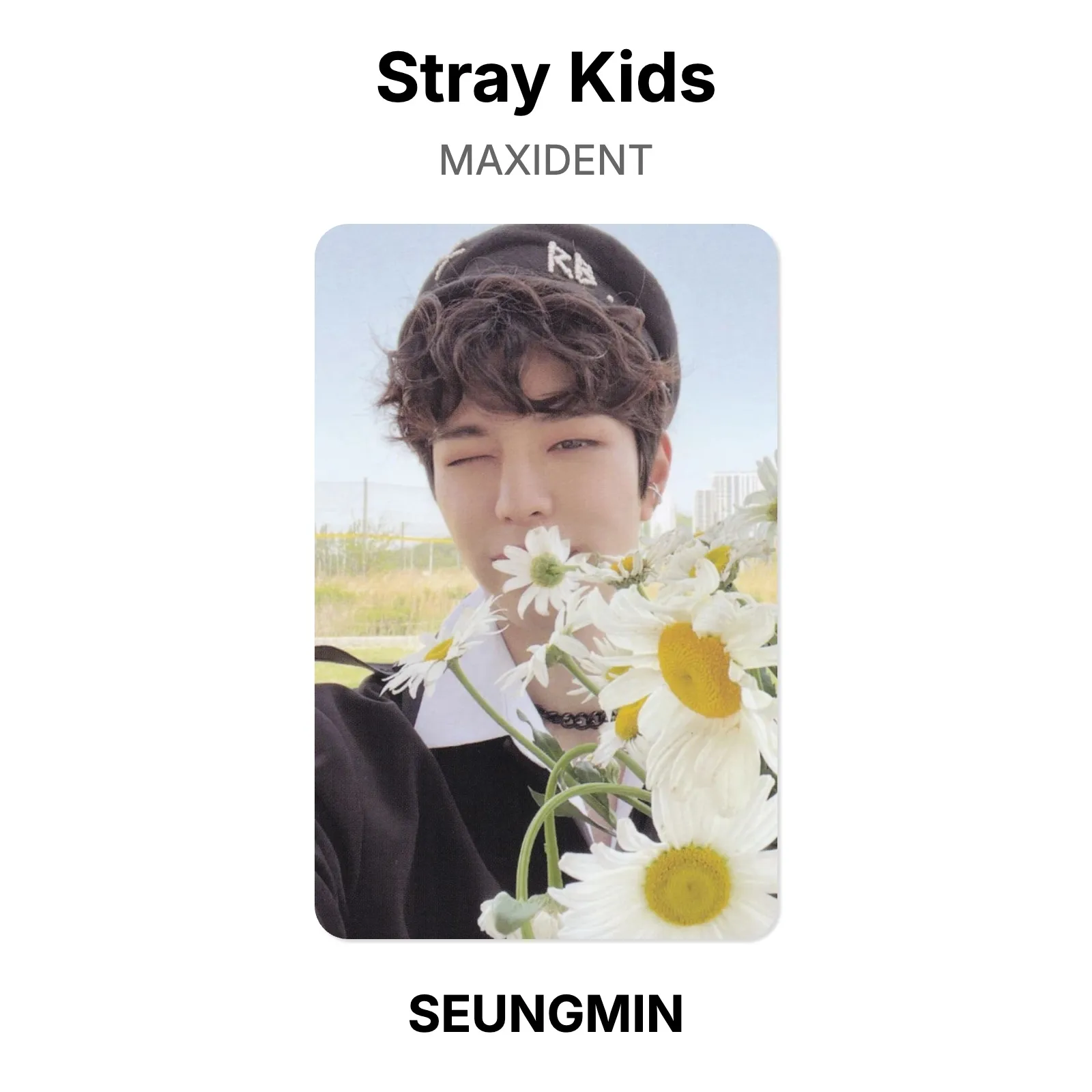 Stray Kids MAXIDENT Official Photocard KPOP Special Gift | eBay