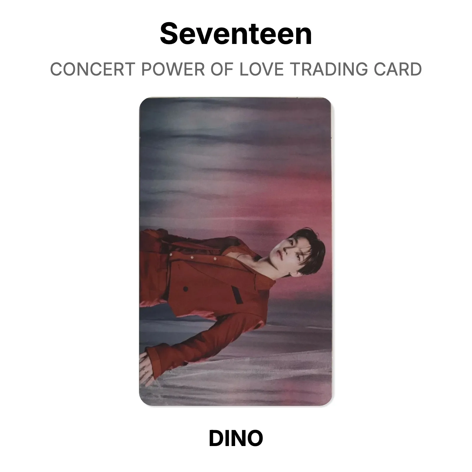Seventeen CONCERT POWER OF LOVE TRADING CARD Official KPOP Special Gift