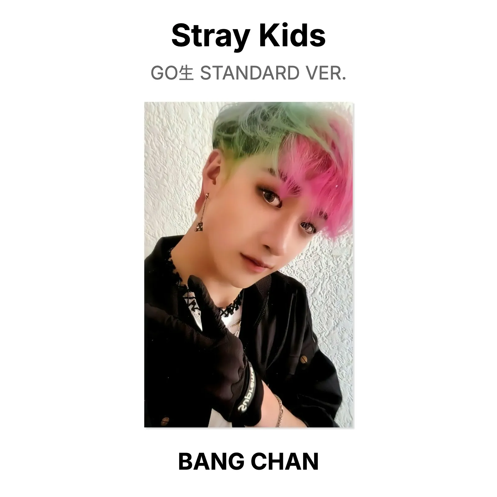Stray Kids GO生 STANDARD VER. Official Photocard KPOP Special Gift