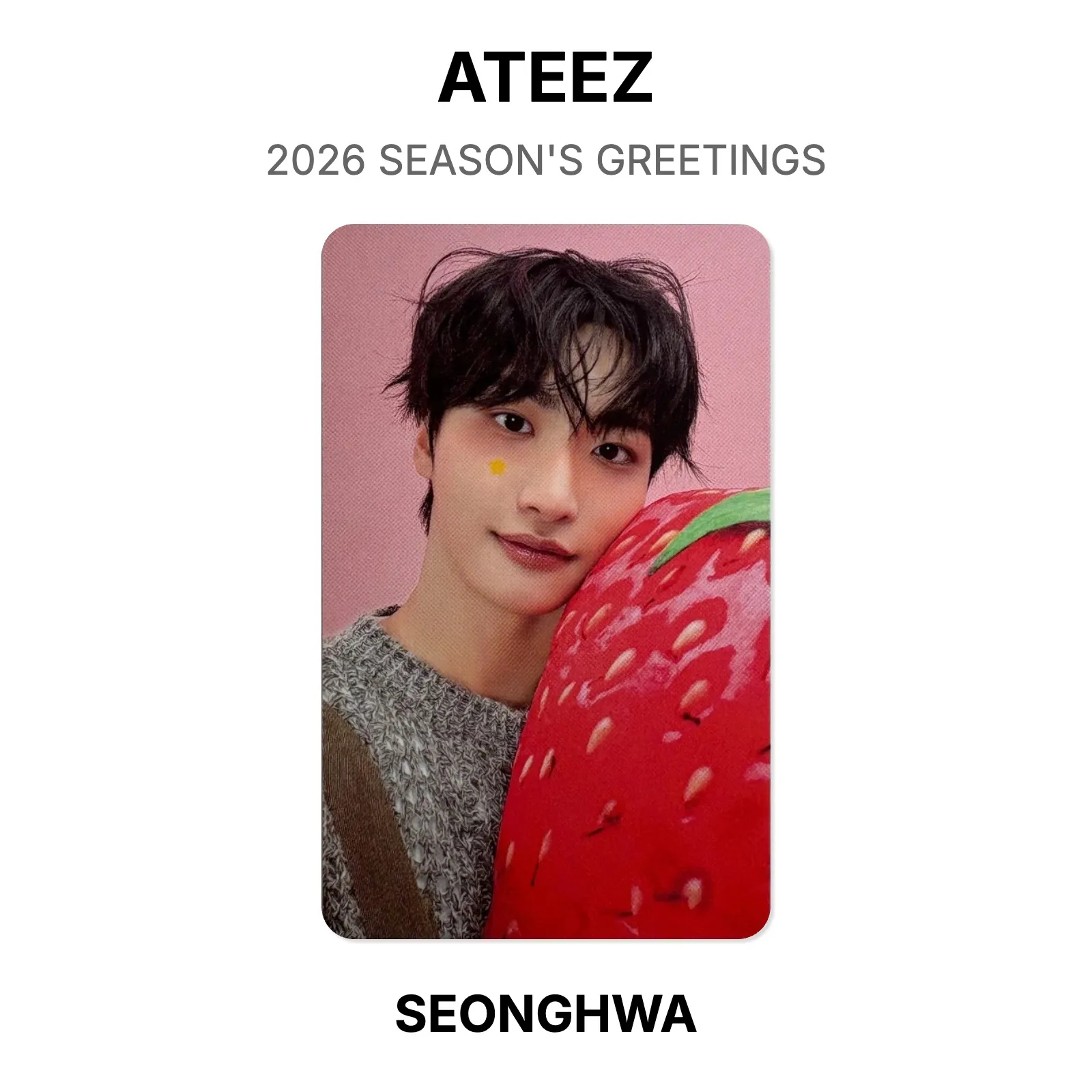 ATEEZ 2026 SEASON'S GREETINGS Official Photocard KPOP Special Gift