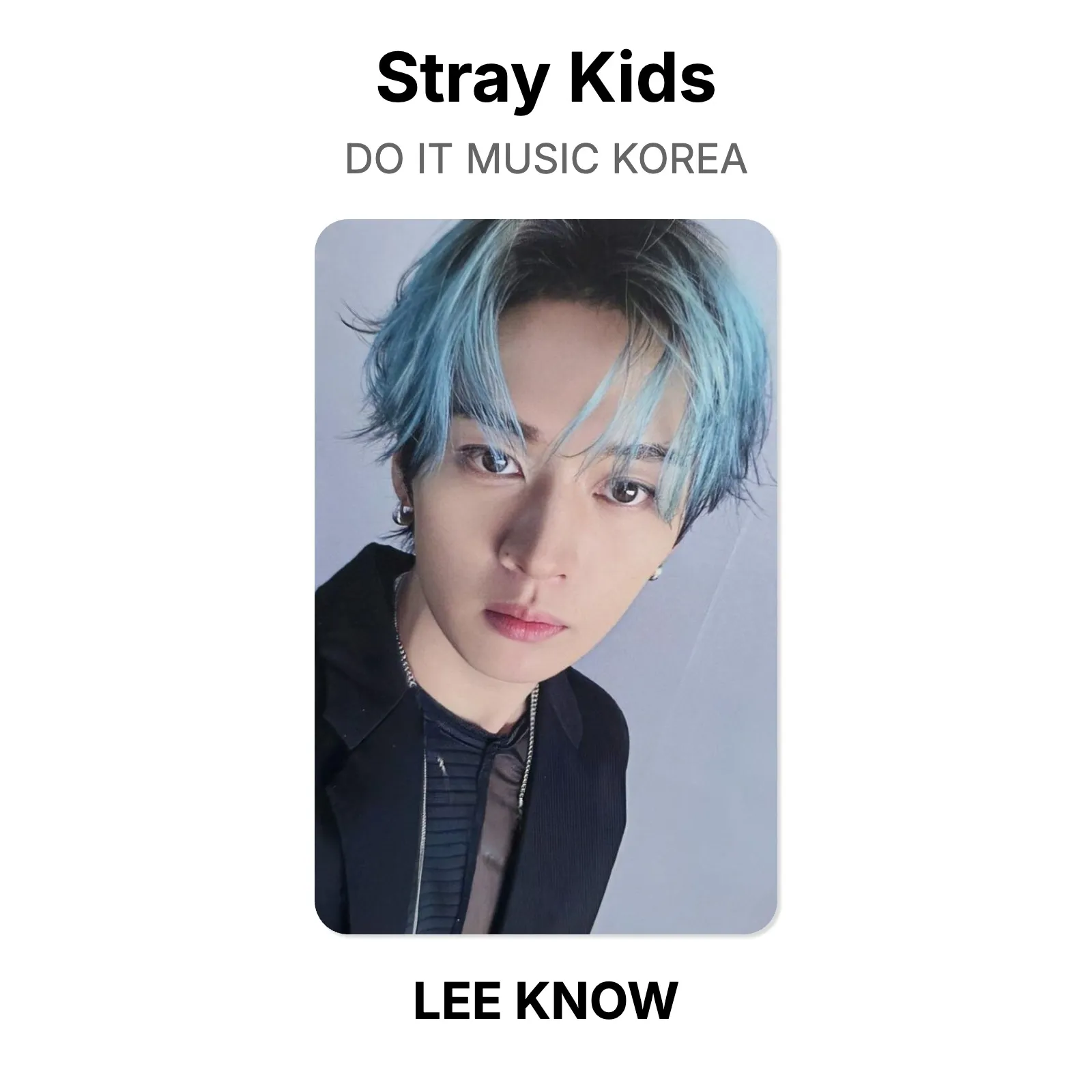 Stray Kids DO IT MUSIC KOREA Official Photocard KPOP Special Gift