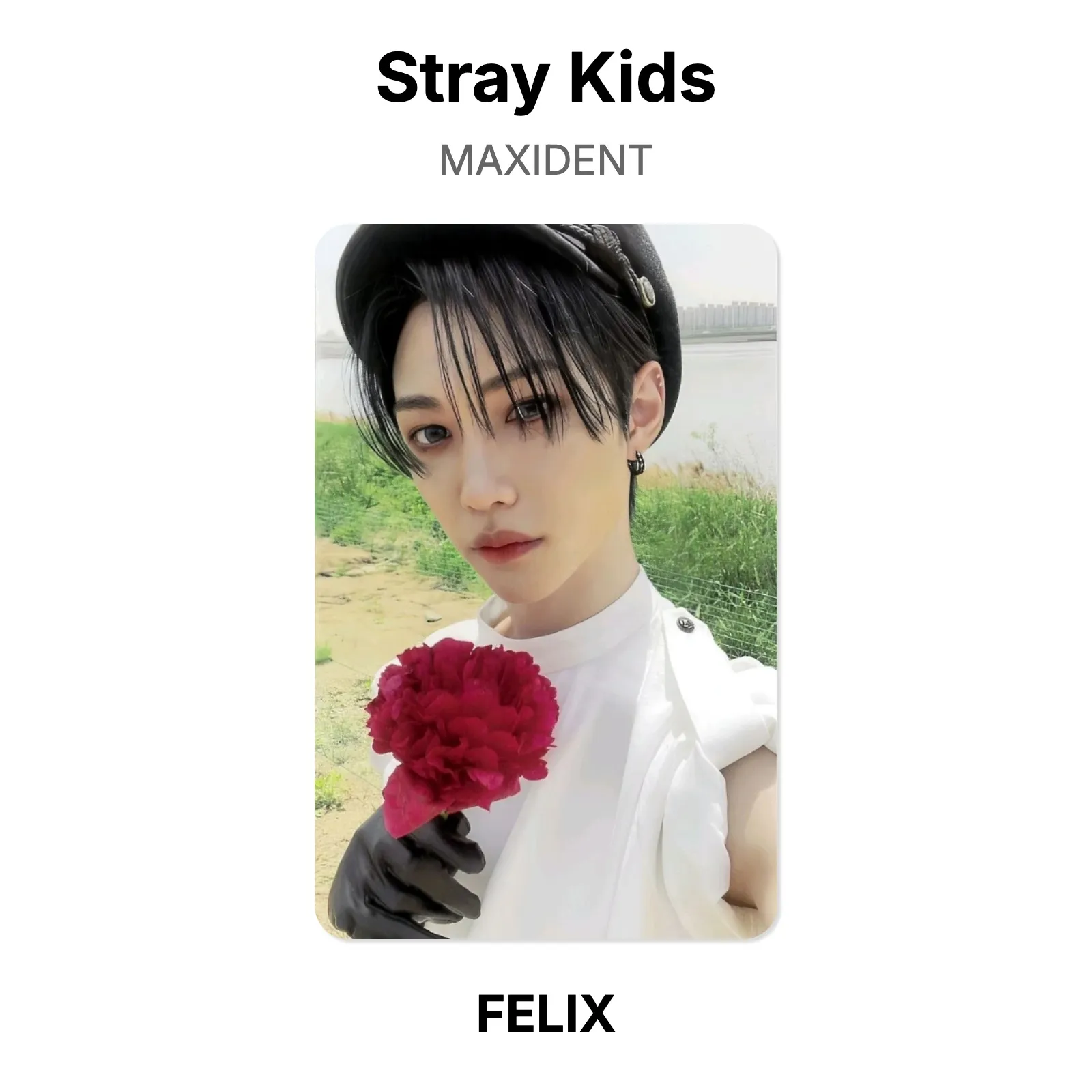Stray Kids MAXIDENT Official Photocard KPOP Special Gift | eBay