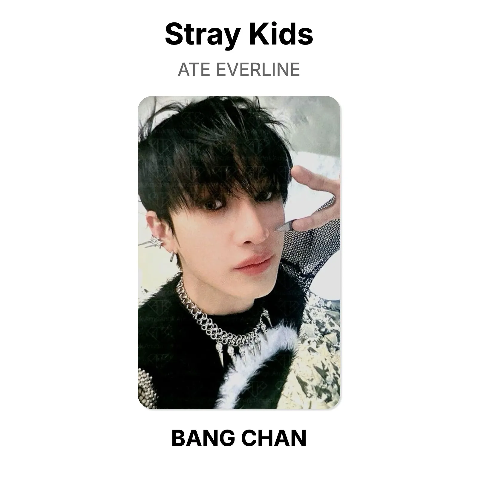 Stray Kids ATE EVERLINE Official Photocard KPOP Special Gift