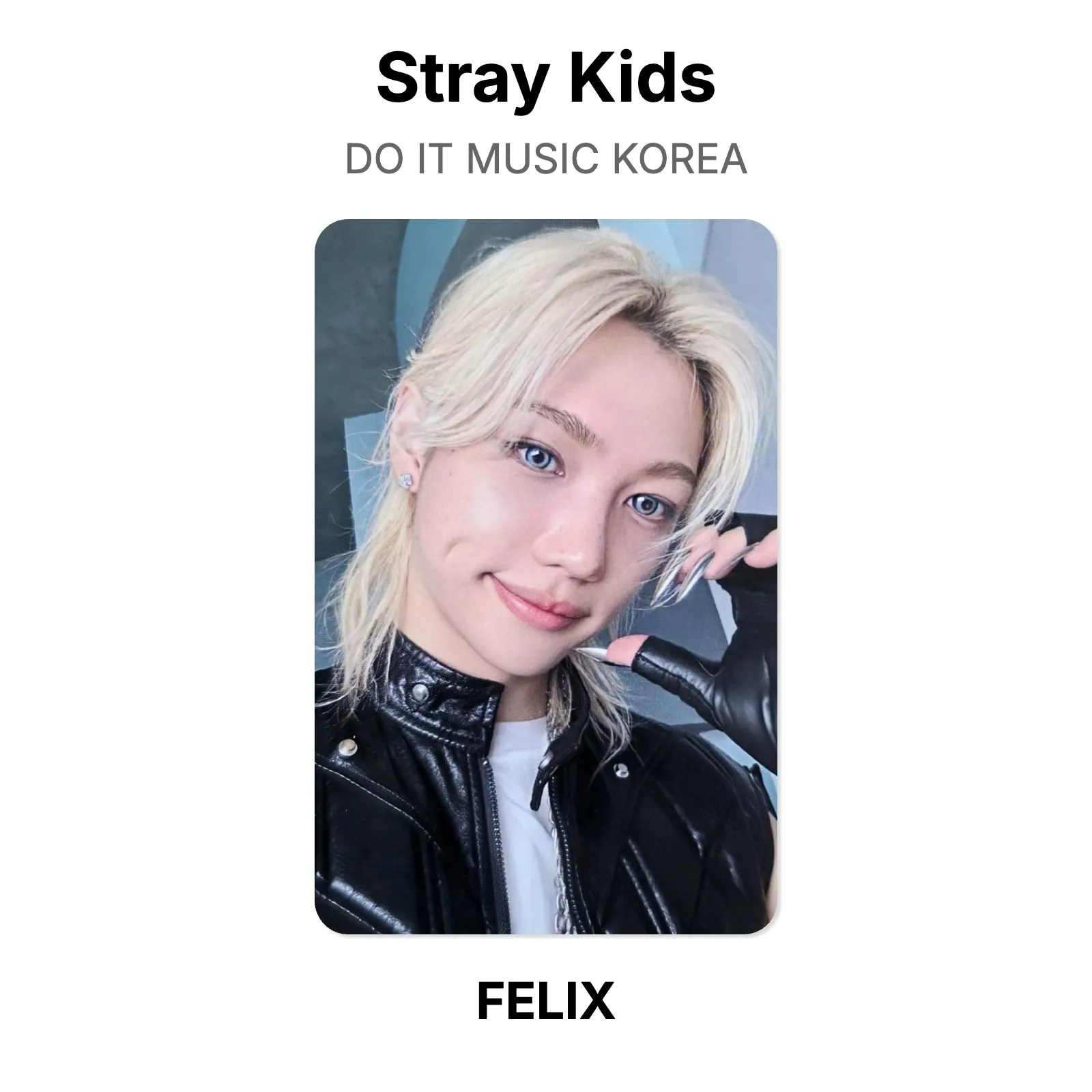 Stray Kids DO IT MUSIC KOREA Official Photocard KPOP Special Gift