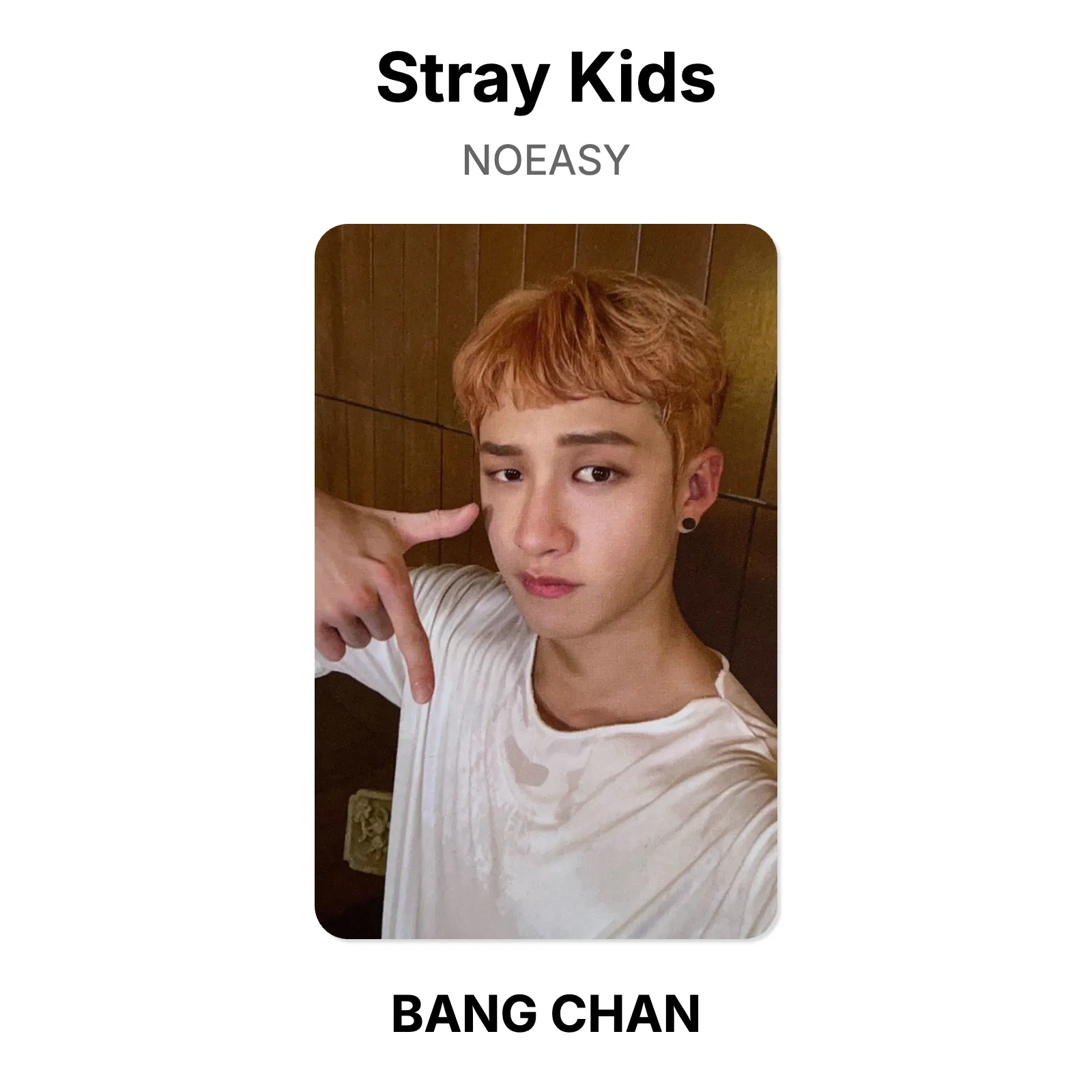 Stray Kids NOEASY Official Photocard KPOP Special Gift