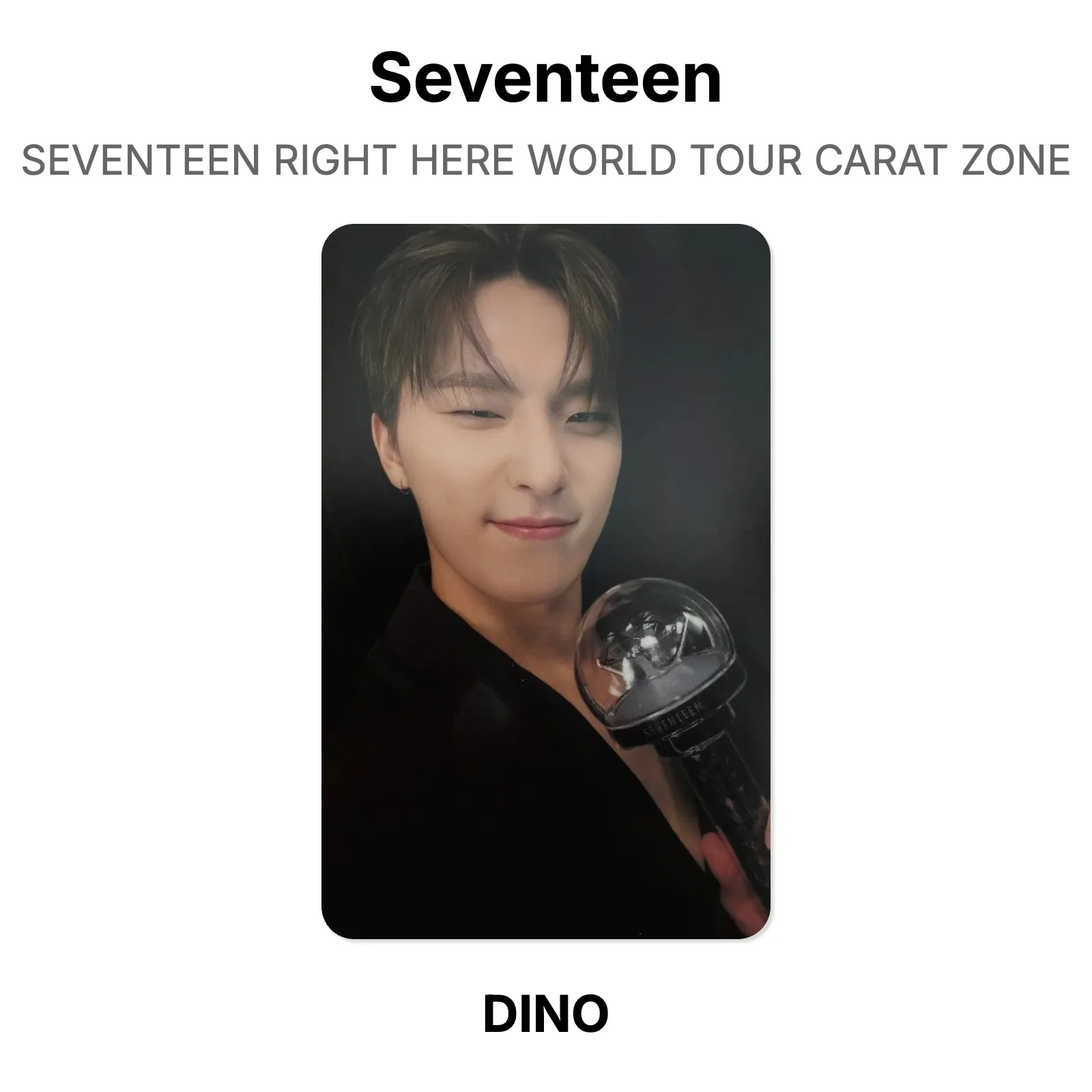 Seventeen SEVENTEEN RIGHT HERE WORLD TOUR CARAT ZONE Official KPOP