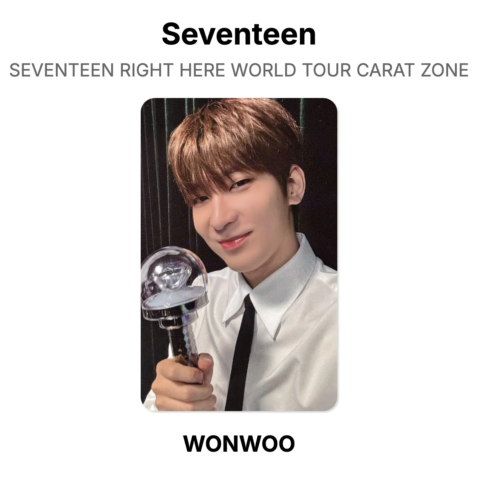 SEVENTEEN FOLLOW CARATZONE ウォヌ ソウルコン トレカ カラットゾーン